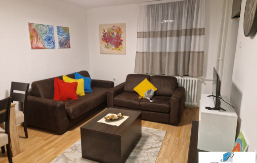 Jednoiposoban stan - Pravni fakultet